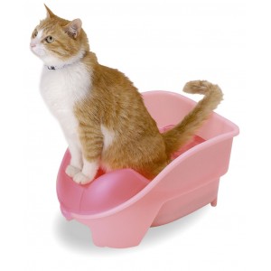 Richell Cat Potty